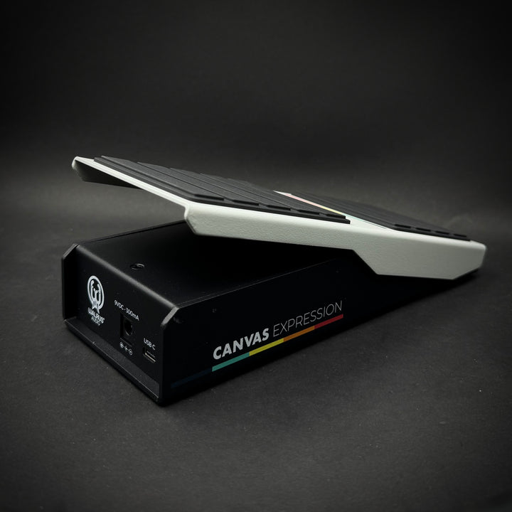 Walrus Audio Canvas Expression Pedal