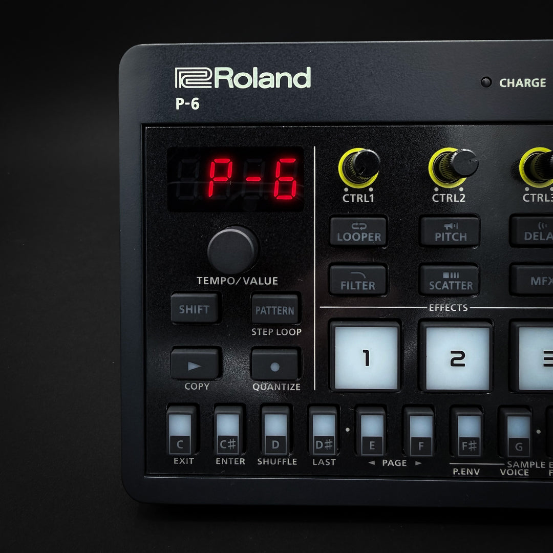 Roland P-6 Creative Sampler