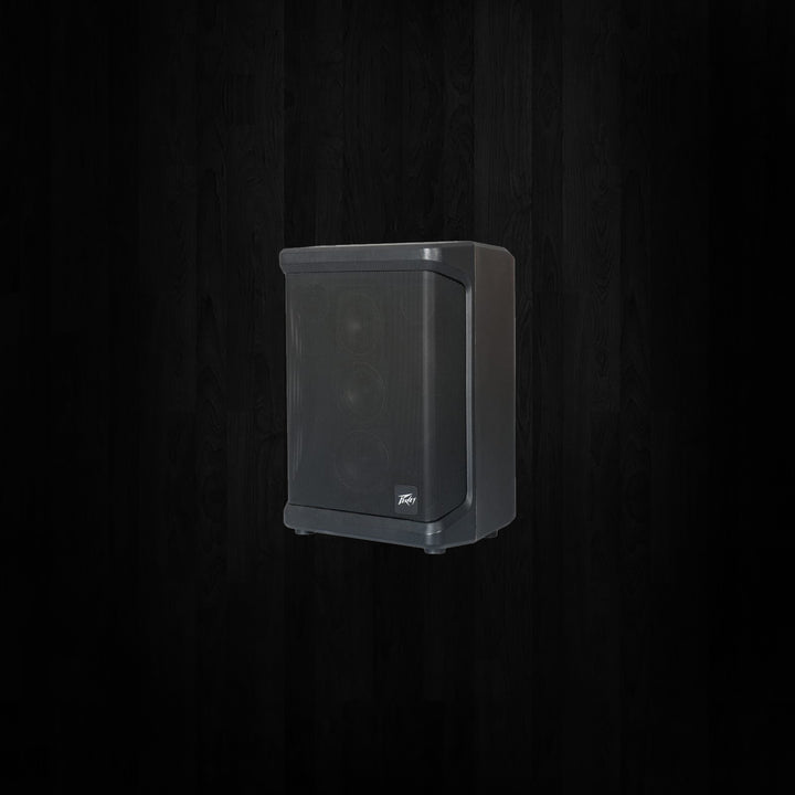 Peavey Solo 4 Channel PA Speaker