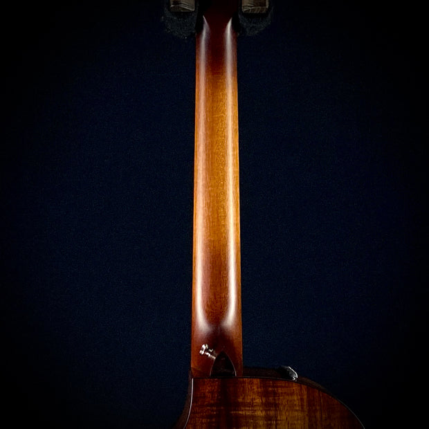 Taylor MV Custom Koa 9 String