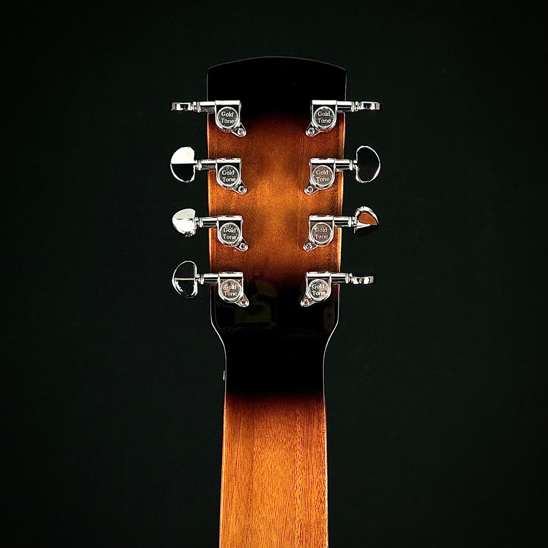 Gold Tone PBS-8 - Paul Beard 8-String Squareneck Resonator Guitar