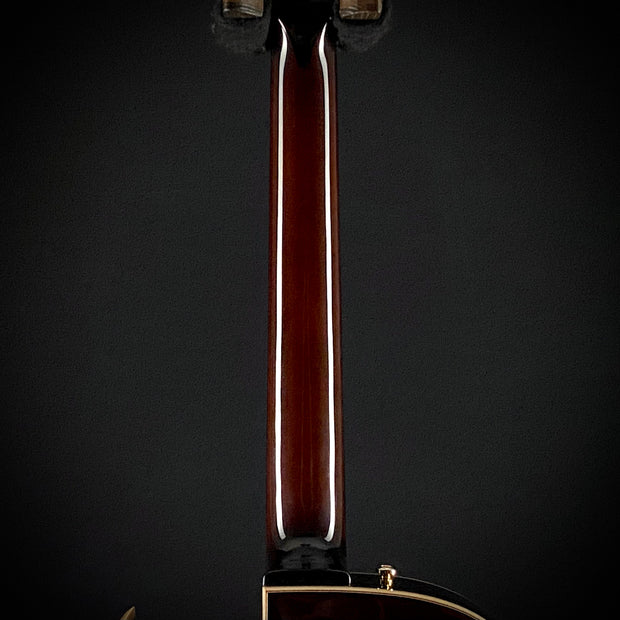 Eastman AR-480CE John Pisano 30th Anniversary Edition