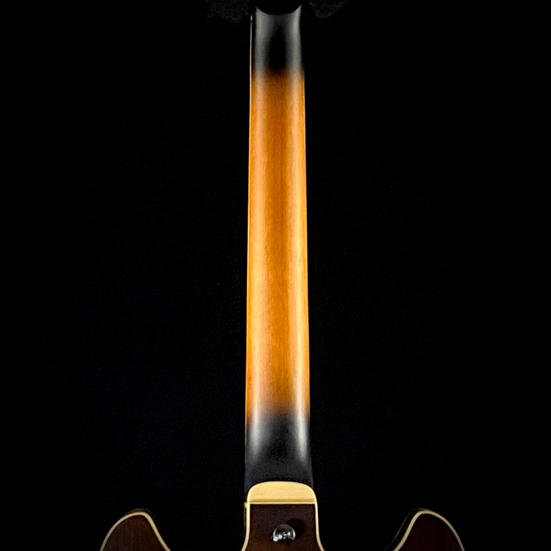 Ibanez AS53