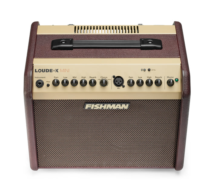 Fishman Loudbox Mini Amplifier