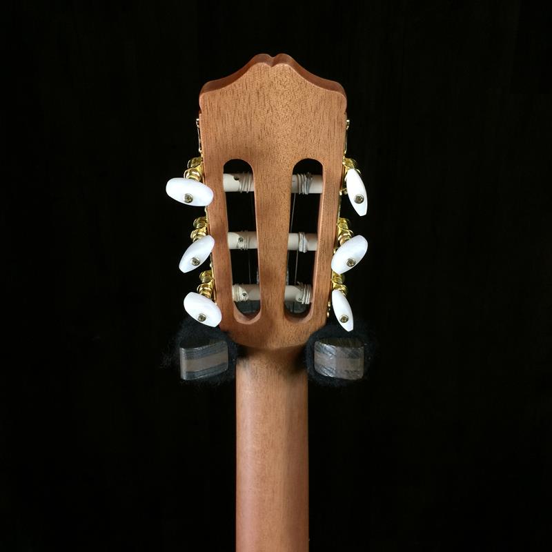 Cordoba Protege C1M 3/4 Size
