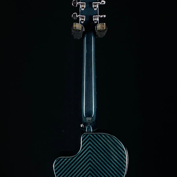 Rainsong CO-PA1000NS 12-Fret - Custom Color