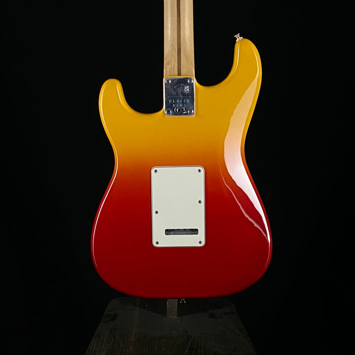 Fender Player Plus Stratocaster (6142)