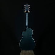 Rainsong CO-PA1000NS 12-Fret - Custom Color