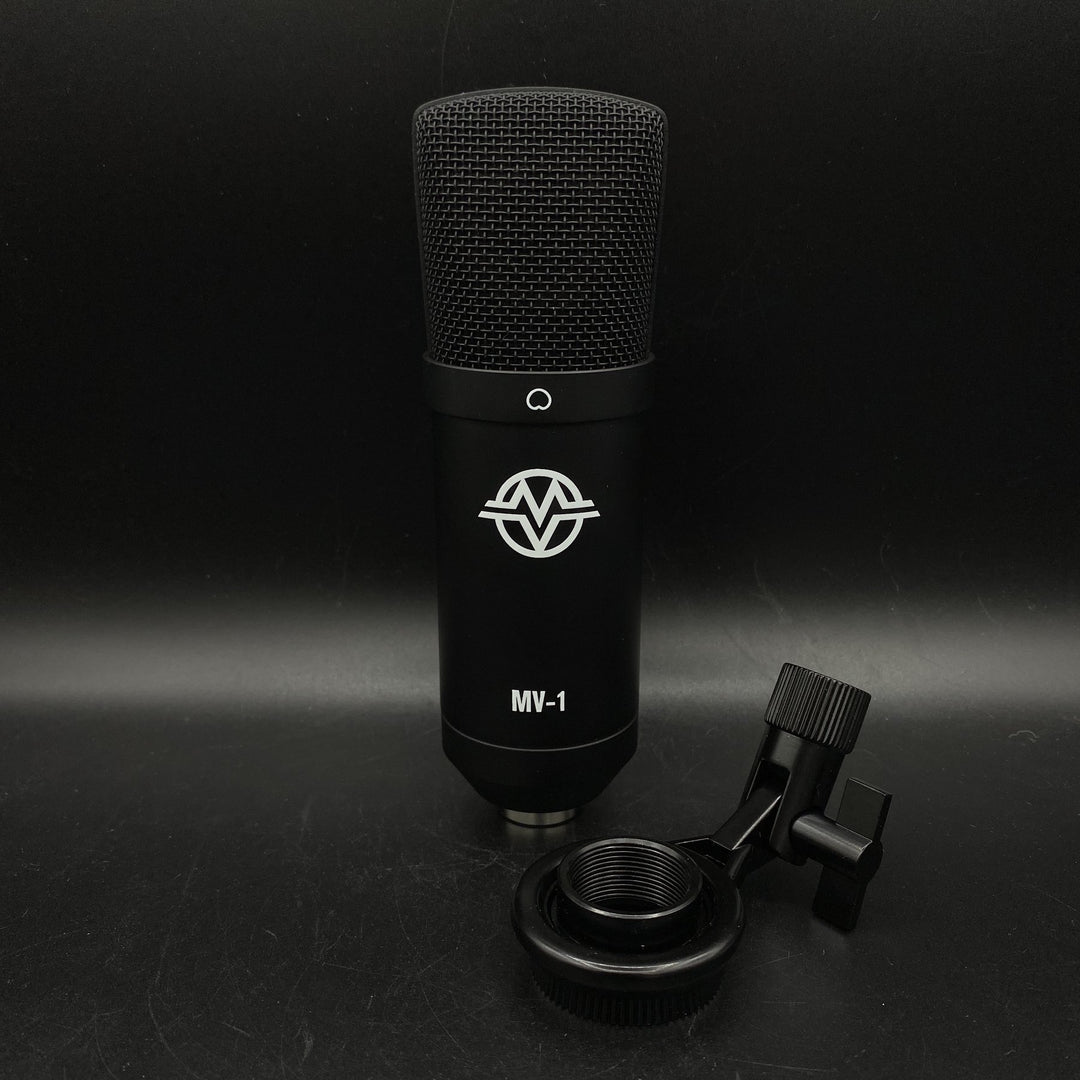 Professional retailer Studio Condenser Microphone