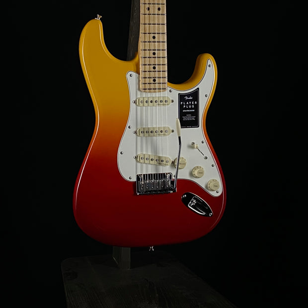 Fender Player Plus Stratocaster (6142)