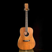 Martin D-X1E - Koa