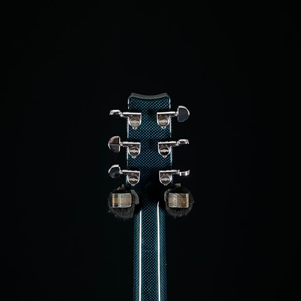 Rainsong CO-PA1000NS 12-Fret - Custom Color