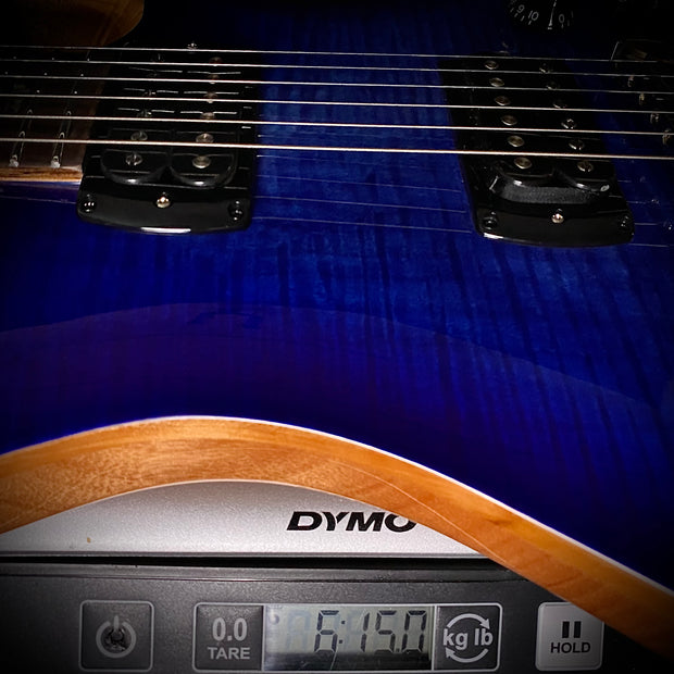 PRS SE Paul’s Guitar