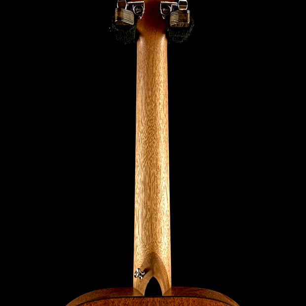 Martin 00-X2E