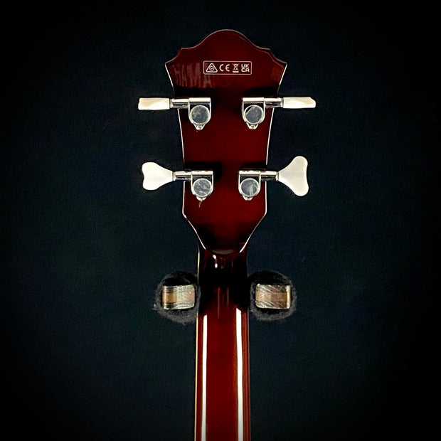 Ibanez AGB-200