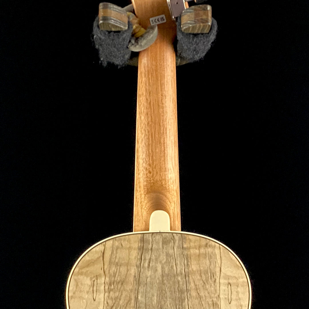 Fender ZUMA CONCERT UKULELE, SPALTED Maple (0594)