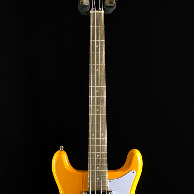 Epiphone Newport Bass