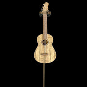 Fender ZUMA CONCERT UKULELE, SPALTED Maple (0594)