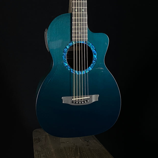 Rainsong CO-PA1000NS 12-Fret - Custom Color
