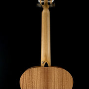 Taylor Academy 12e-Nylon