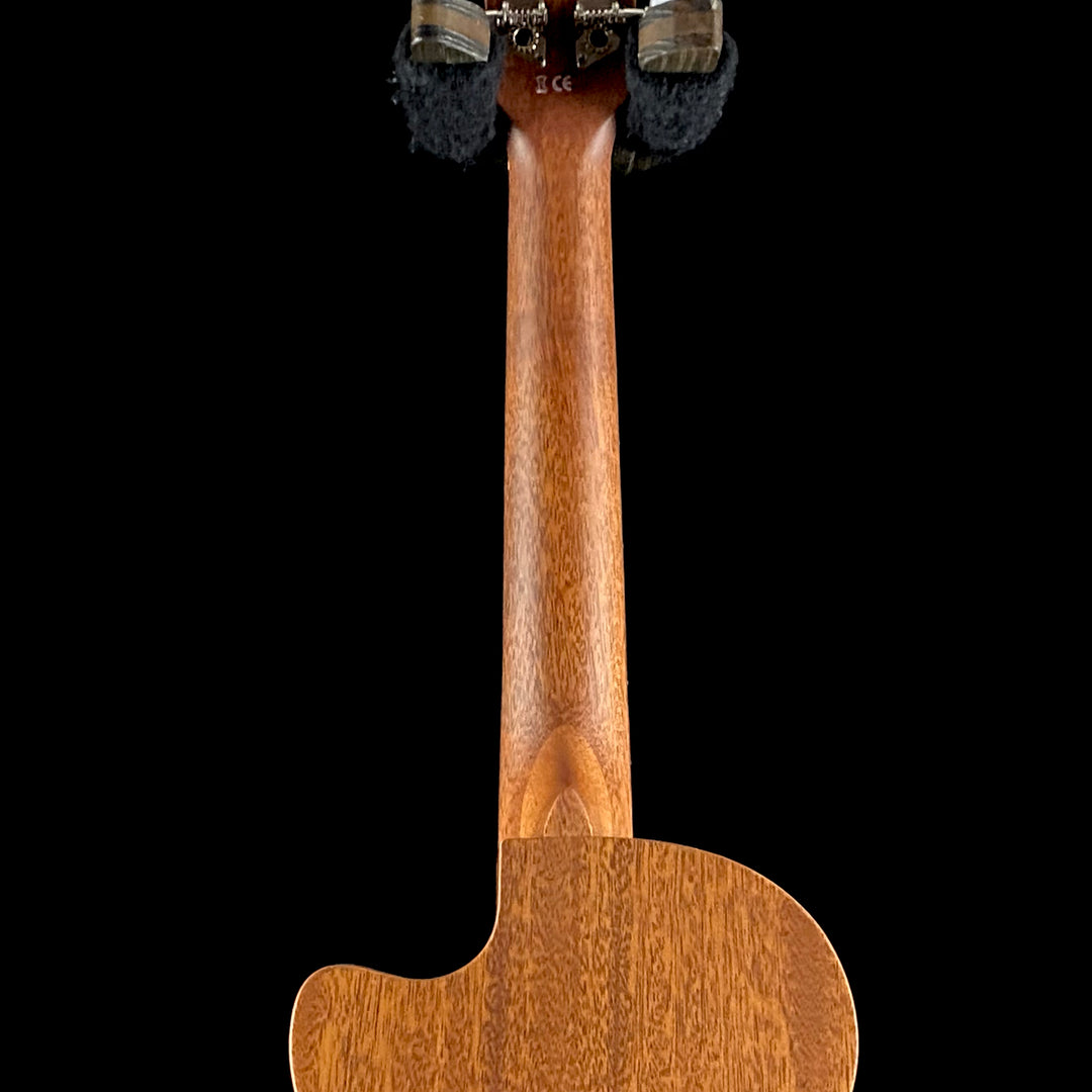 Cordoba 20TM-CE (3936)