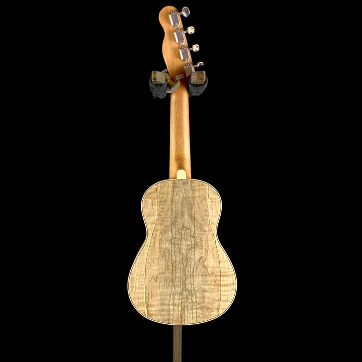 Fender ZUMA CONCERT UKULELE, SPALTED Maple (0594)