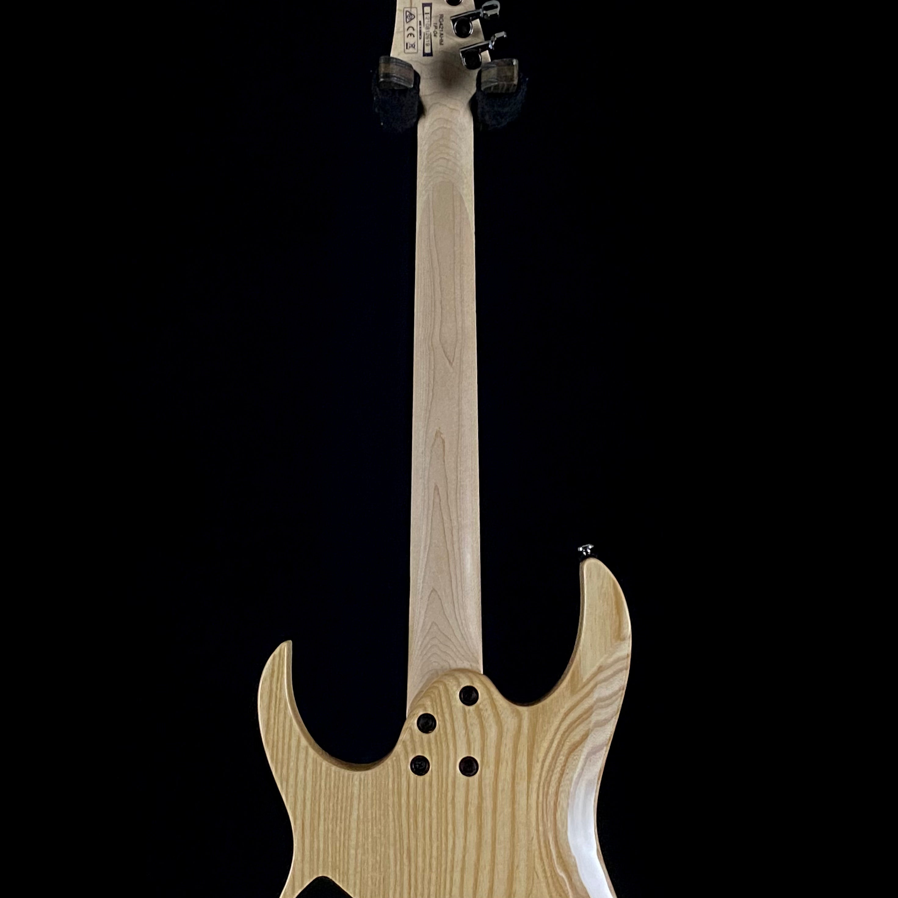 Ibanez RG421 Standard (2619) – Music Villa MT