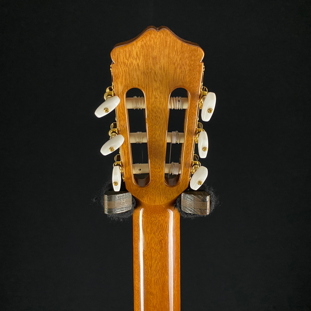 Cordoba C5 Cedar