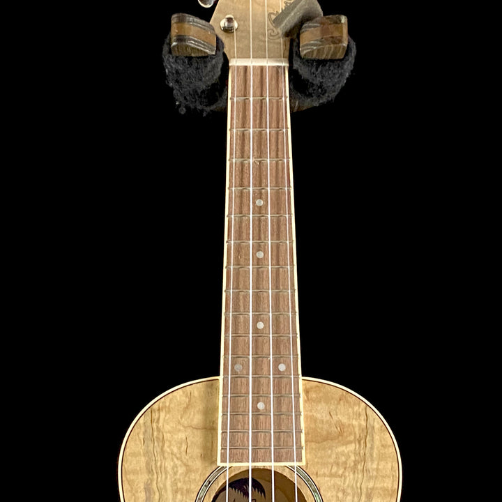 Fender ZUMA CONCERT UKULELE, SPALTED Maple (0594)