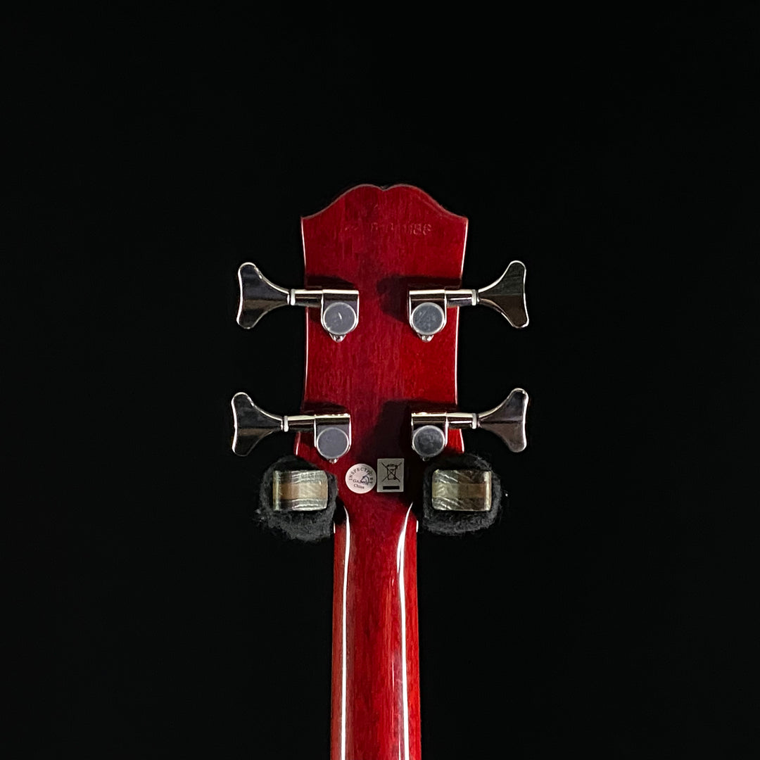 Epiphone Newport Bass