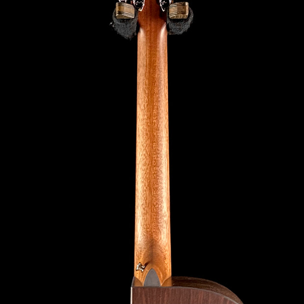 Martin DC-X2E - Rosewood