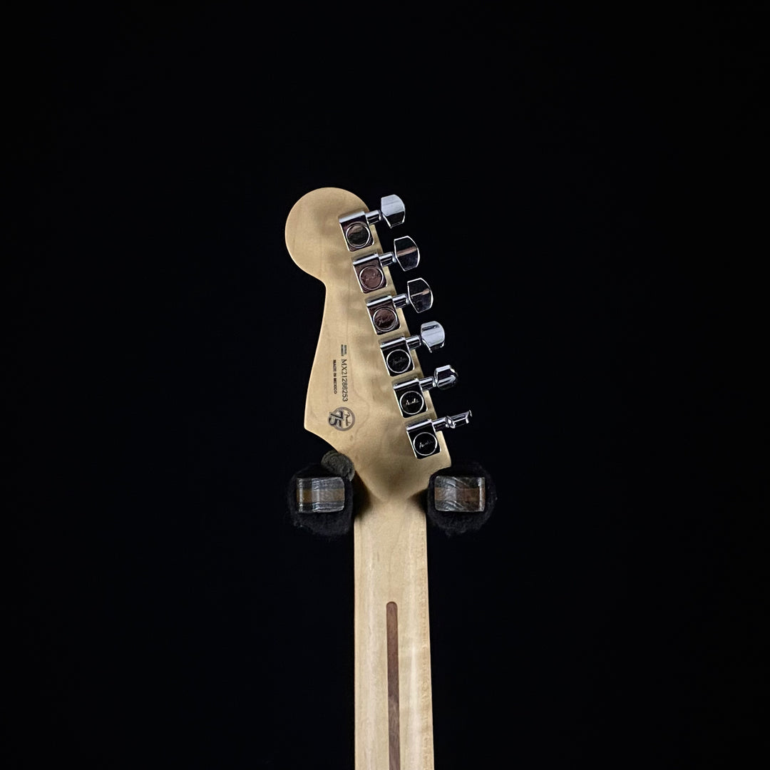 Fender Player Stratocaster (8253)