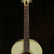 Gibson 1990 J-45 Custom Painted (used)
