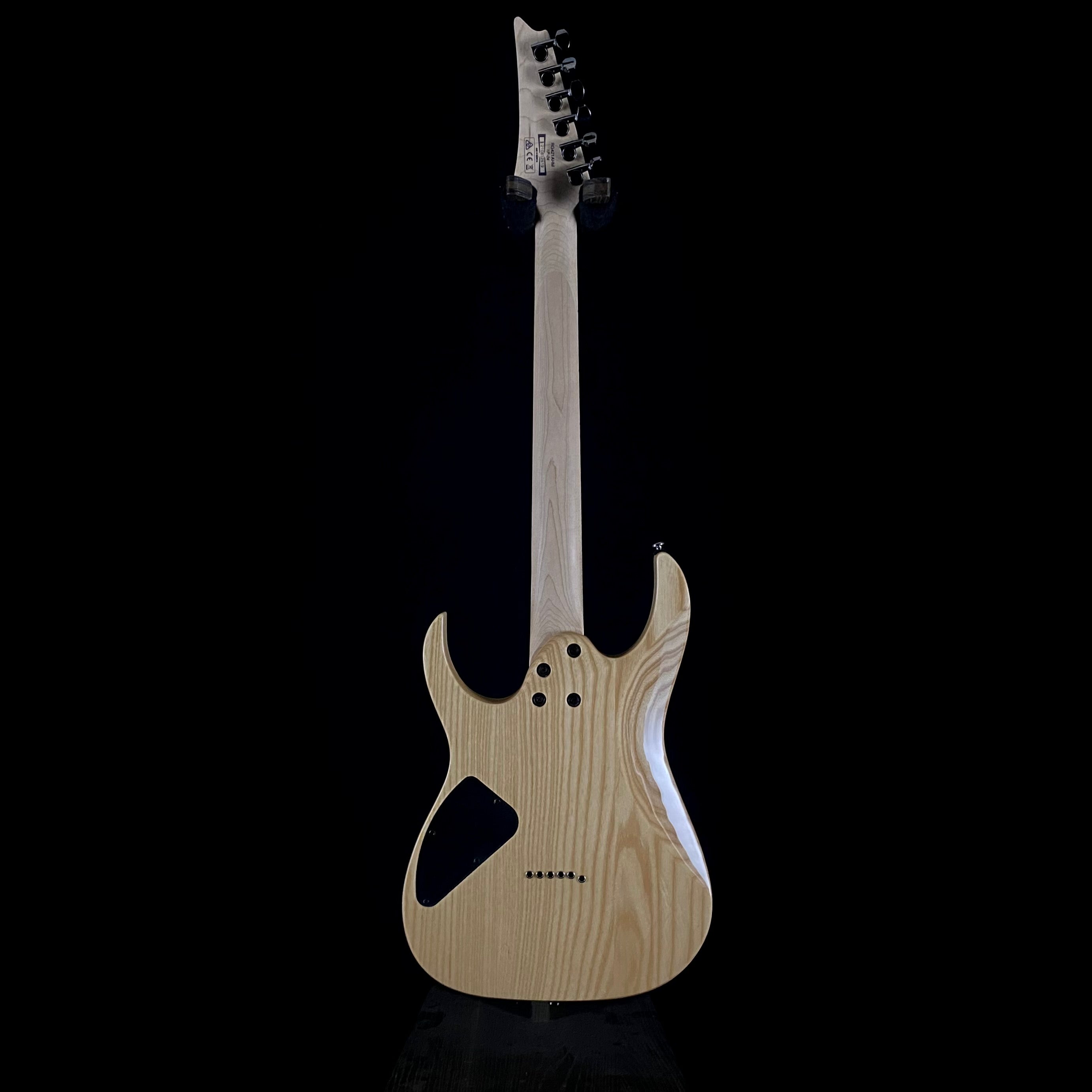Ibanez RG421 Standard (2619) – Music Villa MT