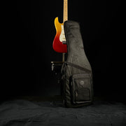 Fender Player Plus Stratocaster (6142)
