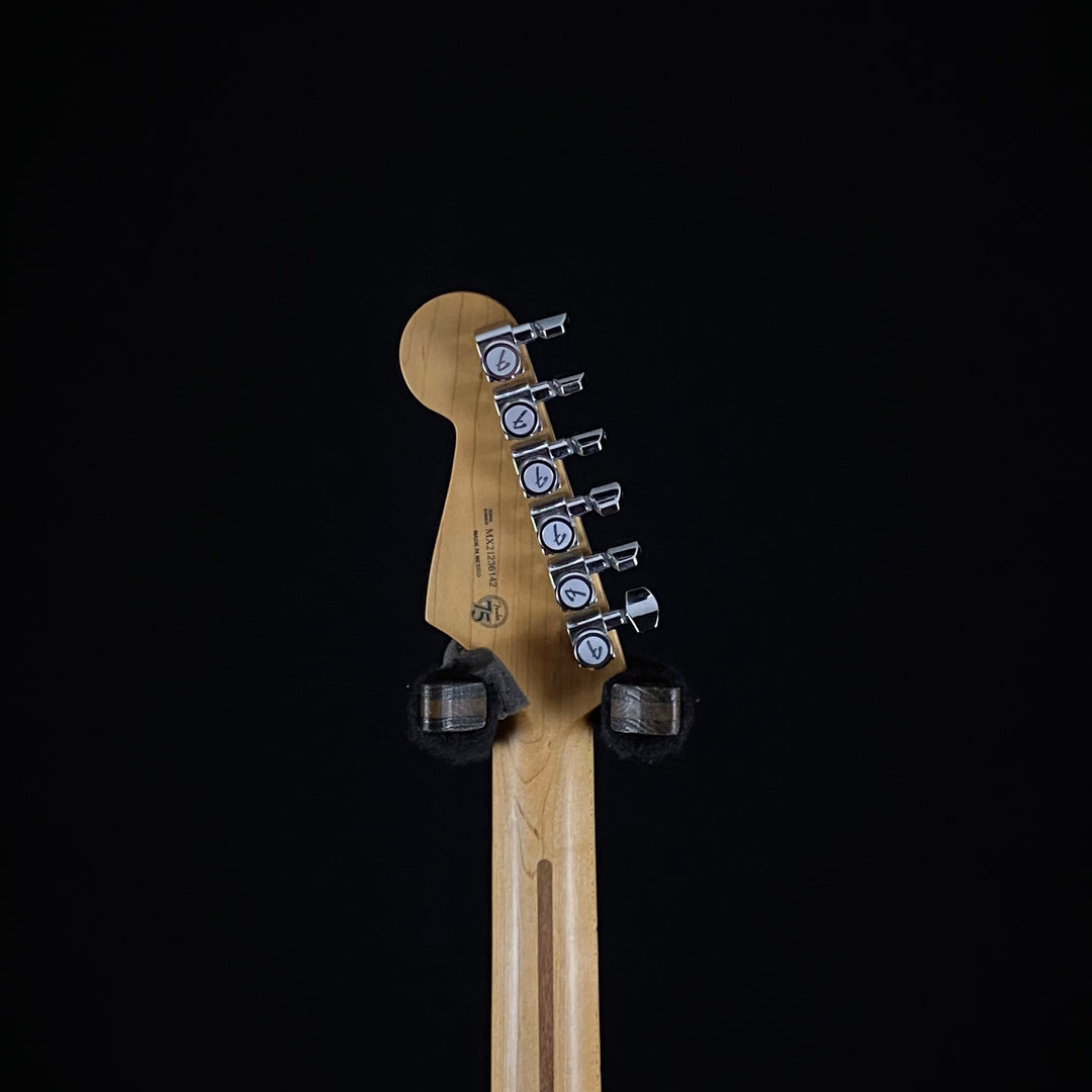 Fender Player Plus Stratocaster (6142)
