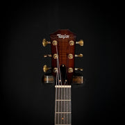 Taylor Custom T5z - Shaded Edge Burst